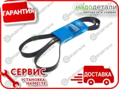������ ������������ Sun � ��������� � ��������� [6PK1730] 6PK1730 ����