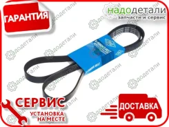 ������ ������������ Sun � ��������� � ��������� [6PK1700] 6PK1700 ����