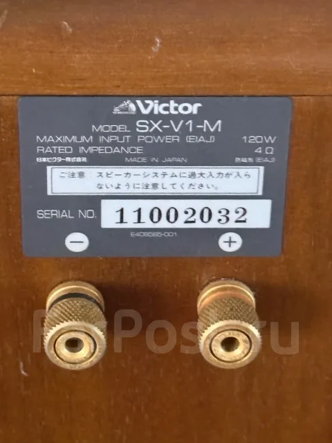 JVC ����