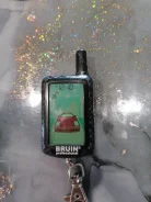 Bruin. ��� ����� �� ������������ ����