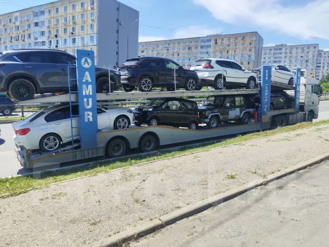 �������� �����������. ����
