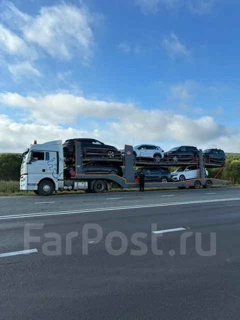 �������� �����������. ����