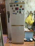 ������������. ����