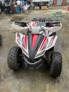 Sharmax Cross 180. ��������, ��� ���\���, �� ����
