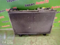 �������� ���������� ��������� Toyota Nadia 164007A282 SXN15 3S-FE 164007A282 ����