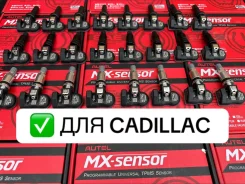 ������ �������� � ����� �� cadillac 13598773 ����