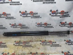 ����������� ����� ��������� Hyundai Starex / H-1 2004-2007 A1 ����