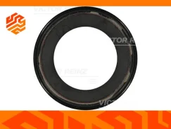 ������� ���������� ���� Reinz 813802600 �����, ��������/������ 813802600 ����