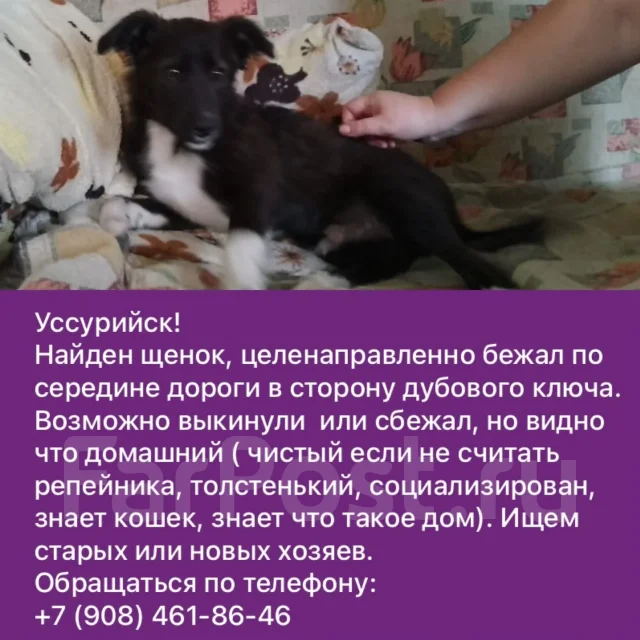 ������. ����