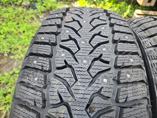 Compasal. ������, ����������, 2026 ���, ����� ����