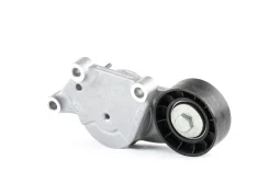 ����� ���������� ����� FORD Focus II, C-MAX, Peugeot 206,307, Citroen C3, C4 1.4,1.6TDCI, HDI Dayco APV3221 APV3221 ����