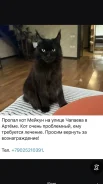 ����-���. ����
