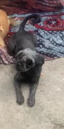 ������. ����