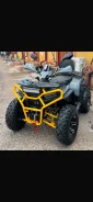 Grizzly 250. ��������, ��� ���\���, ��� ������� ����