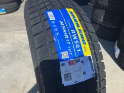 Habilead IceMax RW501. ������, ��� �����, 2026 ���, ����� ����