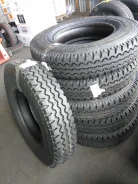 TyRex CRG O-79. ������, 2026 ���, ����� ����
