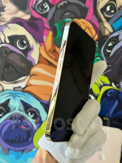 Apple iPhone 13 Pro. �/�, 256 ��, �������, 4G LTE, 5G, NFC ����