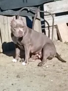 ������������ �����. ��� ����� �� ������������ ����