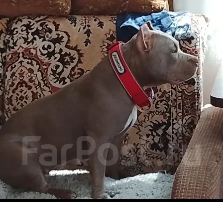 ������������ �����. ��� ����� �� ������������ ����