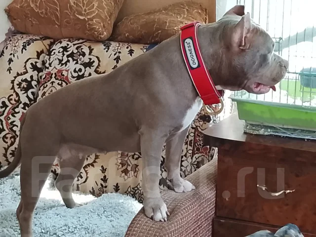 ������������ �����. ��� ����� �� ������������ ����