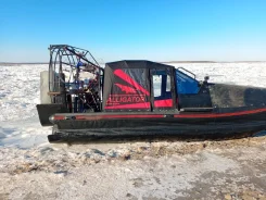 Alligator. 2024 ���, ����� 5,9��., ��������� ������������, 200��.�., ������ ����