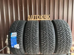 Fortune Polaro Ice. ������, ����������, 2026 ���, ����� ����