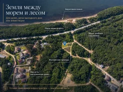 ������� � ���� 11,15 ����� � ��������������, 30 ����� �� ������������. 11.2����., ������ ������������� ���� ��1, ������, �������������, ���� ����