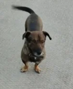 ������. ����