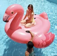 ����� ��������. ����