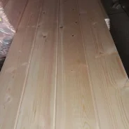 �������� �����. ����� ����