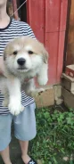 ������. ����