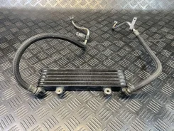 �������� �������� Honda X11 SC42 056813 ����