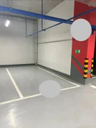 ����� �����������. . ��� ������ ����