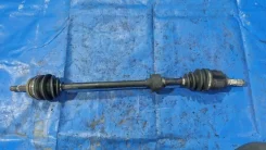 ������ Toyota ECHO 2001 4341052060 NCP12 1NZ-FE, �������� ������ 4341052060 ����