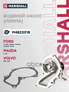 ����� ������� Marshall ���. M4822018 M4822018 ����