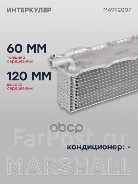 ���������� Marshall ���. M4992007 M4992007 ����