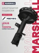 ����������� Marshall ���. M8011812 M8011812 ����