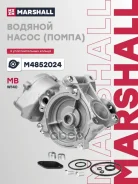 ������� ����� Marshall ���. M4852024 M4852024 ����
