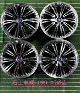 Kyoho Steiner WX5