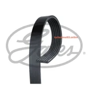 ������ ������������ XF 68416 Gates 6PK1640 6PK1640 ����