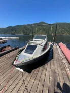 �������. 2011 ���, ����� 5,2��., ��������� ���������, 115��.�., ������ ����