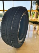 Transmate Frost Bite TW01. ������, ��� �����, ����� ����