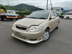 Toyota Allex. NZE121, 1NZFE ����