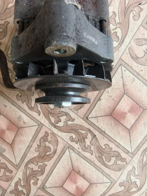����������. ����