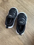 ���������. 19.5 ����