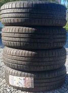 Nereus. ������, 2024 ���, ����� ����
