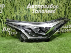 ���� ����� Toyota C-HR NGX50 8Nrfts 10101 ����