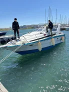 Bayliner. 1992 ���, ����� 11��., ��������� ������������, 520��.�., ������ ����