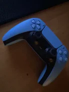 ��������. ����