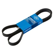 ������ ������������ SUN SUN 6PK1585 6PK1585 ����